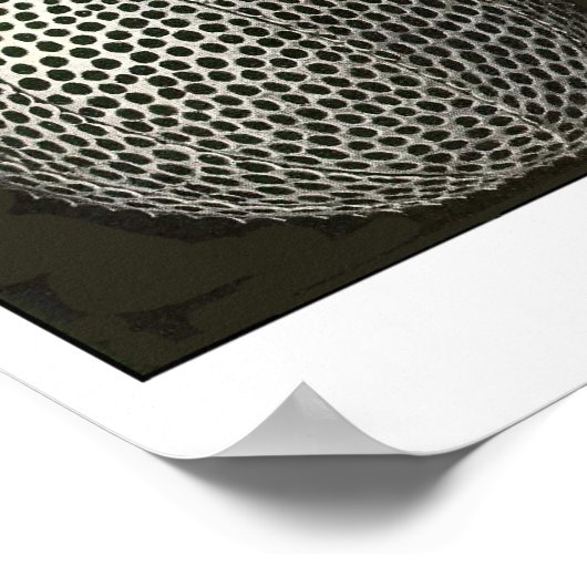 Bord 31 Cyroidea Poster (Hoek)