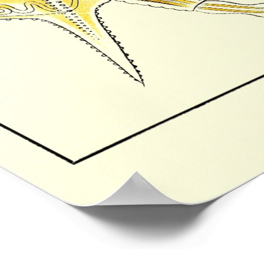 Bord 32 Rotatoria Poster (Hoek)