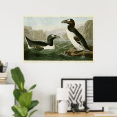 Bord 341 | Grote auk | Vogels van Amerika Poster (Thuiskantoor)