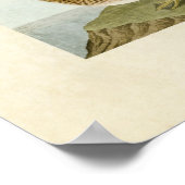Bord 348 | Gadwall Duck | Vogels van Amerika Poster (Hoek)