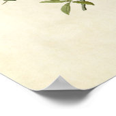 Bord 353 | Titelmuis met kastanjegaap Poster (Hoek)