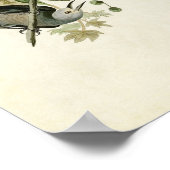 Bord 362 | Geel-Bons Magpie & Stellers Jay Poster (Hoek)