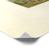 Bord 365 | Lapland Longspur | Vogels van Amerika Poster (Hoek)