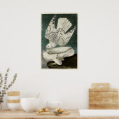 Bord 366 | IJsland of Jer Falcon Poster (Keuken)