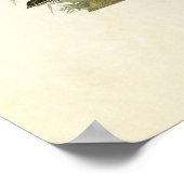 Bord 390 | Lark Finch, Prairie Finch & Sparrow Poster (Hoek)