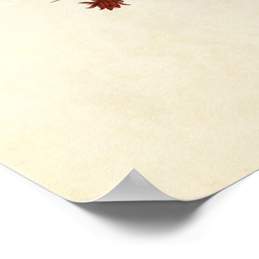 Bord 393 | Townsend's Warbler & Bluebird Poster (Hoek)