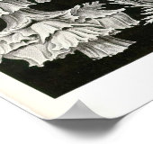 Bord 39 Gorgonia Poster (Hoek)