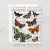 BORD 3 BRIEFKAART (Voorkant / Achterkant)