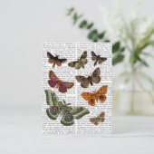 BORD 3 BRIEFKAART (Staand voorkant)