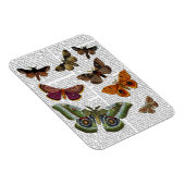 BORD 3 MAGNEET (Rechterzijde)