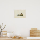 Bord 405 | Halfgepalmeerde Sandpiper Poster (Keuken)