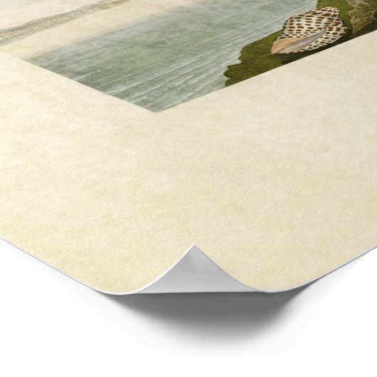 Bord 409 | Tern en Tern van Havell Poster (Hoek)