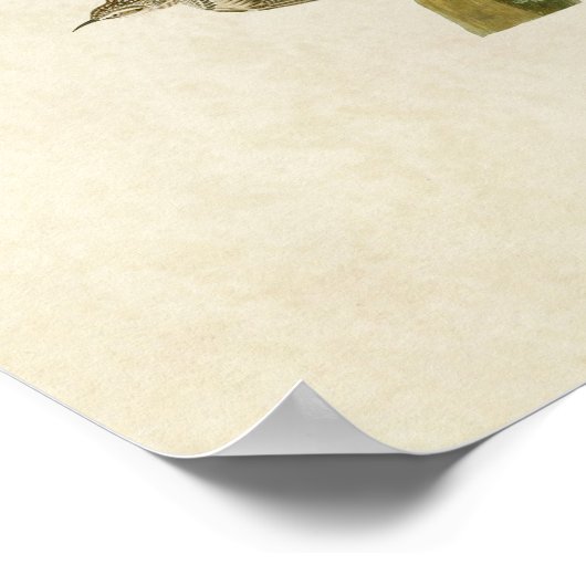 Bord 415 | Bruine Creeper en Californisch Nuthatch Poster (Hoek)