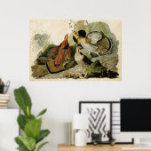 Bord 41 | Ruffed Grouse | Vogels van Amerika Poster (Thuiskantoor)