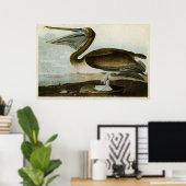Bord 421 | Bruin Pelican | Vogels van Amerika Poster (Thuiskantoor)