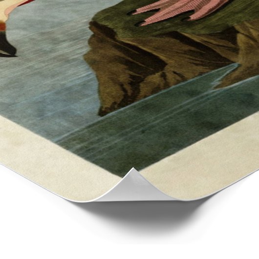 Bord 431 | Amerikaanse Flamingo | Vogels van Ameri Poster (Hoek)