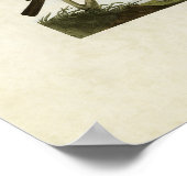 Bord 433 | Orioles, Goldfinch en Thrushes Poster (Hoek)