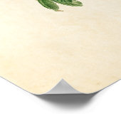 Bord 48 | Azure Warbler | Vogels van Amerika Poster (Hoek)