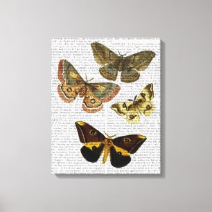 BORD 4 CANVAS AFDRUK