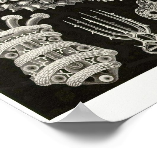 Bord 50. Thuroidea. Poster (Hoek)