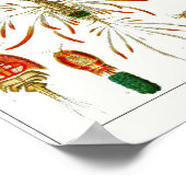 Bord 56. Copepods. Poster (Hoek)