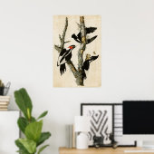 Bord 66 | Ivory-Billing Woodpecker Poster (Thuiskantoor)