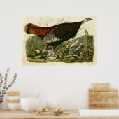 BORD 6 | Wilde Turkije | Vogels van Amerika Poster (Keuken)