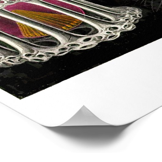 Bord 71. Stefoidea Poster (Hoek)