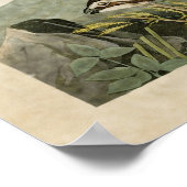 Bord 76 | Virginiaanse patridge | Vogels van Ameri Poster (Hoek)
