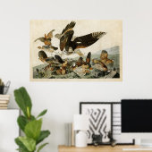 Bord 76 | Virginiaanse patridge | Vogels van Ameri Poster (Thuiskantoor)