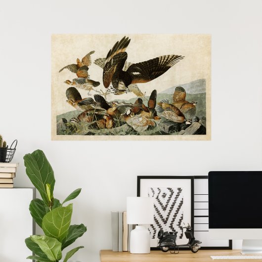 Bord 76 | Virginiaanse patridge | Vogels van Ameri Poster (Thuiskantoor)