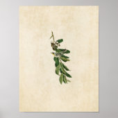 Bord 85 | Geelbruine Warbler Poster (Voorkant)