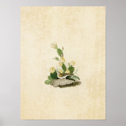 Bord 94 | Grass Finch of Bay-Winged Bunting Poster (Voorkant)