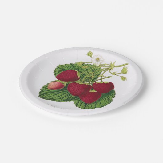 Bord Antiek aardbeienpluim (Gekanteld)