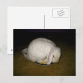 bord briefkaart (Voorkant / Achterkant)