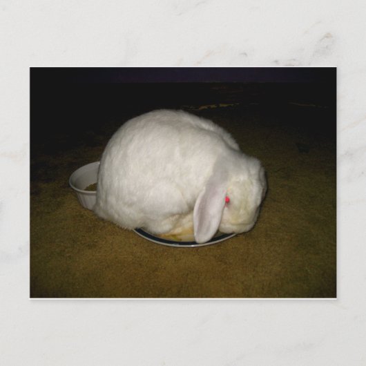 bord briefkaart (Voorkant)