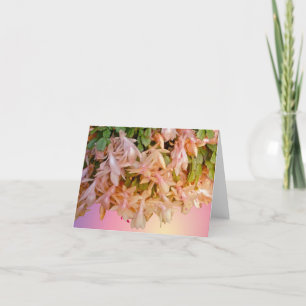 Bord - de roze Kaart van de Nota van de Cactus van
