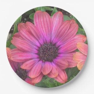 Bord Floral Paper