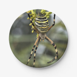 Bord Halloween Spider Paper