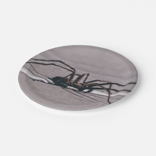 Bord Halloween Spider Paper (Gekanteld)