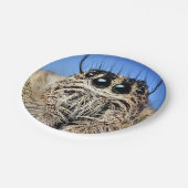 Bord Halloween Spider Paper (Gekanteld)