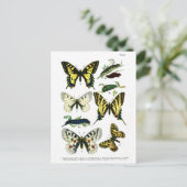 Bord I van de Europese Butterflies Briefkaart (Staand voorkant)