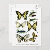 Bord I van de Europese Butterflies Briefkaart (Voorkant / Achterkant)