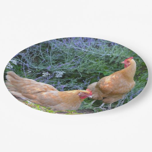 Bord kippenpapier (Gekanteld)