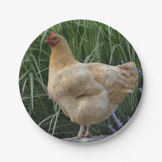 Bord kippenpapier (Voorkant)