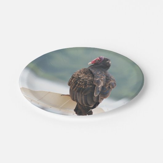 Bord kweekpapier Turkije (Gekanteld)