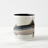 Bord LIV van makreel (Scomber Scomber) uit "Ichthy Tweekleurige Koffiemok (Center)