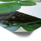 Bord met aardbei poster (Hoek)