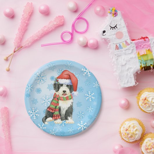 Bord met kerstcadeau voor Collie Paper (Feest)