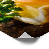 Bord met zeehondenkeuken als zeegrootte poster (Hoek)